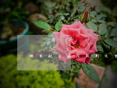新乡封丘法院裁判文书网
