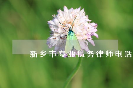 新乡市专业债务律师电话多少
