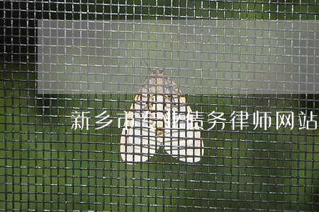 新乡市专业债务律师网站 新乡市专业债务律师网站