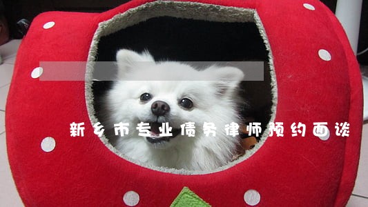 新乡市专业债务律师预约面谈 新乡市专业债务律师预约面谈
