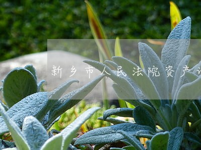 新乡市人民法院资产诉讼网 新乡市人民法院资产诉讼网