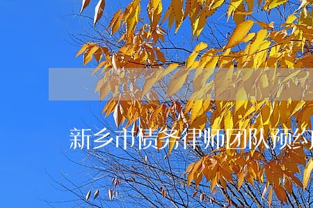 新乡市债务律师团队预约面谈