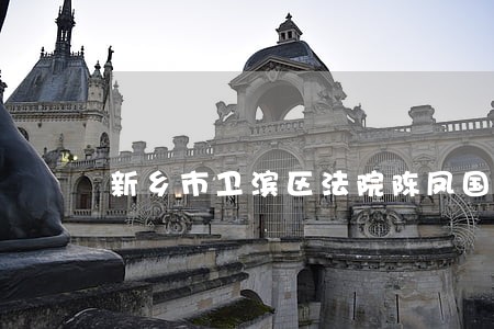 新乡市卫滨区法院陈凤国 新乡市卫滨区法院陈凤国