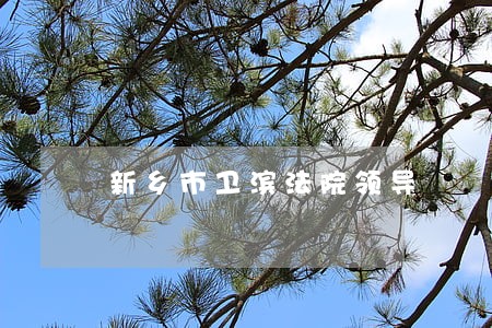 新乡市卫滨法院领导 新乡市卫滨法院领导
