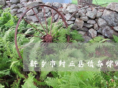新乡市封丘县债务律师事务所