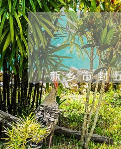 新乡市封丘县债务律师团队 新乡市封丘县债务律师团队