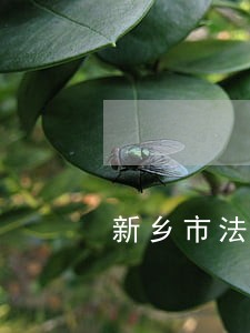 新乡市法律顾问招投标 新乡市法律顾问招投标