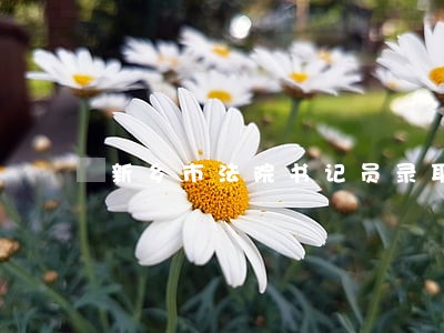 新乡市法院书记员录取名单 新乡市法院书记员录取名单