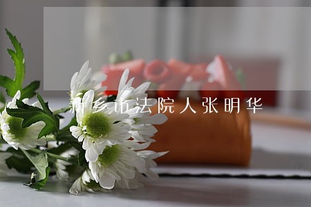 新乡市法院人张明华 新乡市法院人张明华