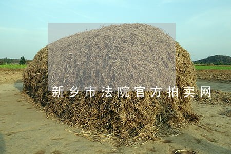 新乡市法院官方拍卖网