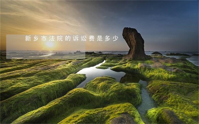 新乡市法院的诉讼费是多少 新乡市法院的诉讼费是多少