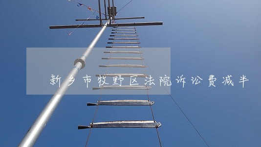 新乡市牧野区法院诉讼费减半