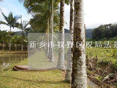 新乡市牧野区税局法规科 新乡市牧野区税局法规科