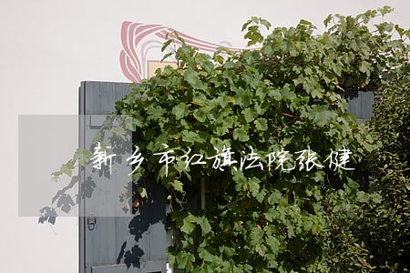 新乡市红旗法院张健 新乡市红旗法院张健