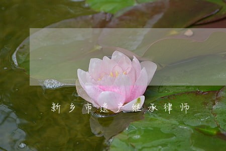 新乡市遗产继承律师 新乡市遗产继承律师