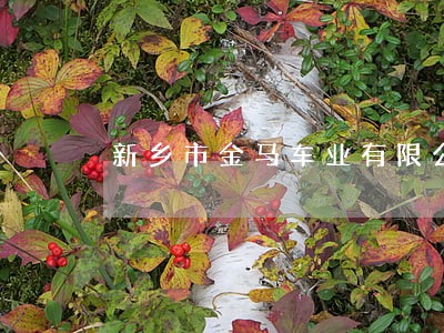 新乡市金马车业有限公司法院公告