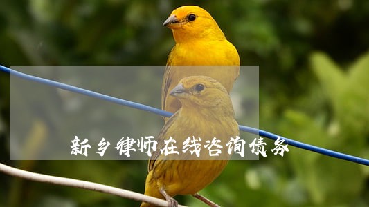新乡律师在线咨询债务 新乡律师在线咨询债务