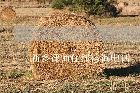 新乡律师在线咨询电话