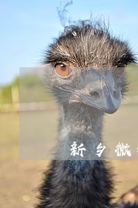 新乡微粒贷逾期减免利息 新乡微粒贷逾期减免利息