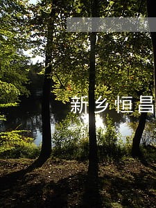 新乡恒昌凡普逾期后果 新乡恒昌凡普逾期后果