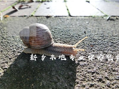 新乡本地专业律师电话 新乡本地专业律师电话