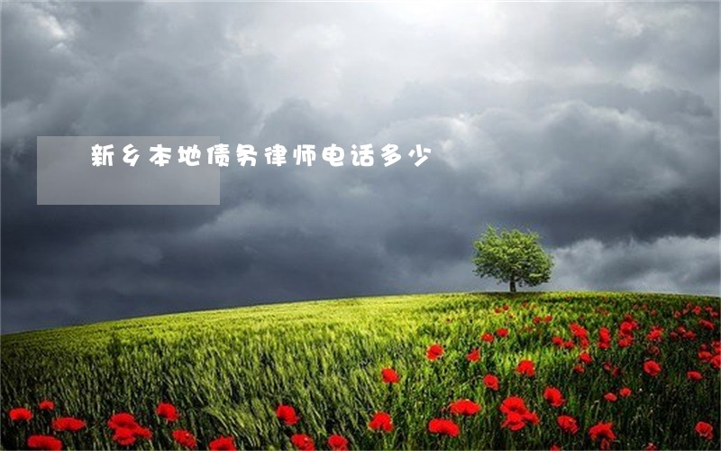 新乡本地债务律师电话多少 新乡本地债务律师电话多少
