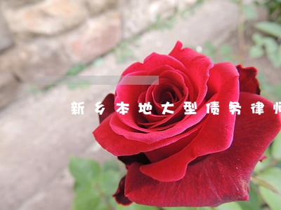 新乡本地大型债务律师地址 新乡本地大型债务律师地址