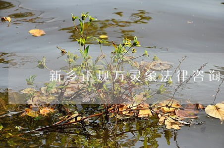 新乡正规万灵象法律咨询 新乡正规万灵象法律咨询