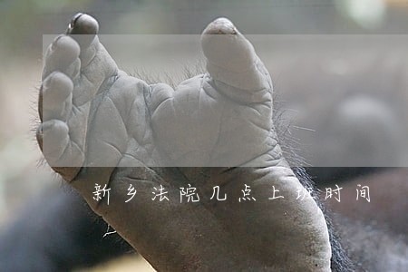 新乡法院几点上班时间 新乡法院几点上班时间
