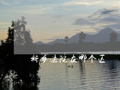 新乡法院在哪个区