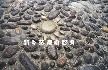 新乡法院夏智勇 新乡法院夏智勇