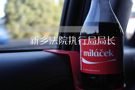 新乡法院执行局局长 新乡法院执行局局长