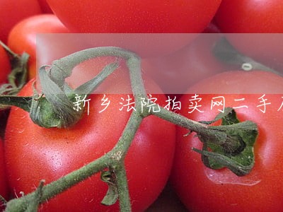 新乡法院拍卖网二手房 新乡法院拍卖网二手房