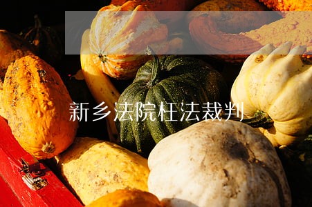 新乡法院枉法裁判