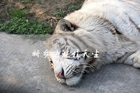 新乡法院程天生 新乡法院程天生