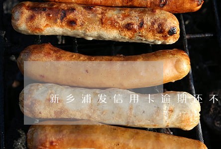 新乡浦发信用卡逾期还不起怎么办 新乡浦发信用卡逾期还不起怎么办