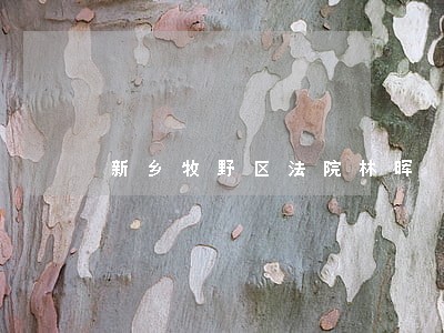 新乡牧野区法院林晖 新乡牧野区法院林晖