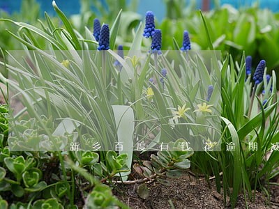 新乡百度有钱花逾期减免利息 新乡百度有钱花逾期减免利息