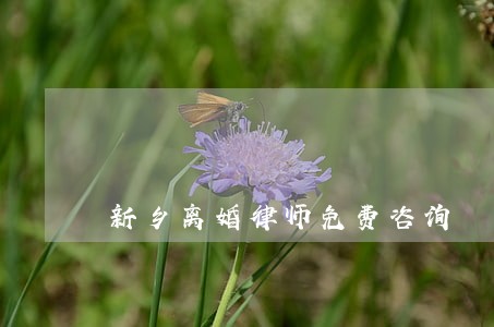 新乡离婚律师免费咨询 新乡离婚律师免费咨询