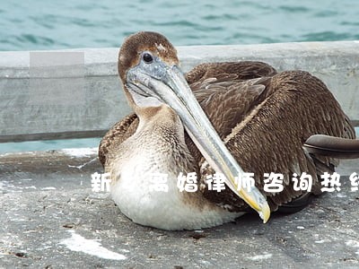新乡离婚律师咨询热线 新乡离婚律师咨询热线