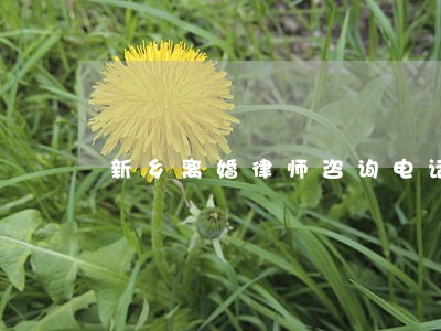 新乡离婚律师咨询电话 新乡离婚律师咨询电话