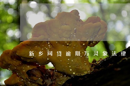 新乡网贷逾期万灵象法律咨询 新乡网贷逾期万灵象法律咨询