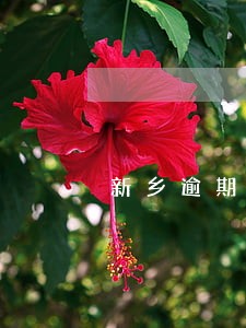 新乡逾期还不上债务优化加盟 新乡逾期还不上债务优化加盟