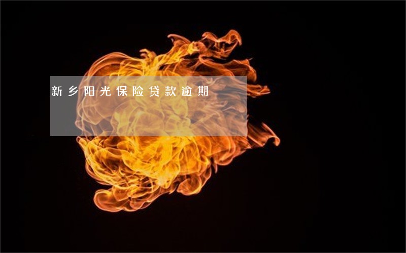 新乡阳光保险贷款逾期 新乡阳光保险贷款逾期