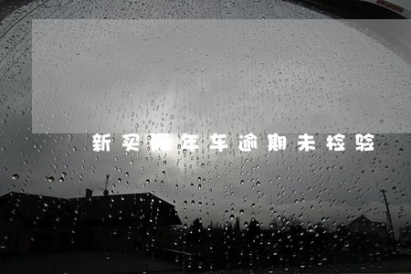 新买两年车逾期未检验 新买两年车逾期未检验