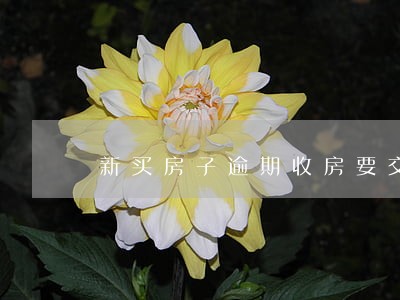 新买房子逾期收房要交物业费吗 新买房子逾期收房要交物业费吗