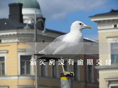 新买房没有逾期交付 新买房没有逾期交付