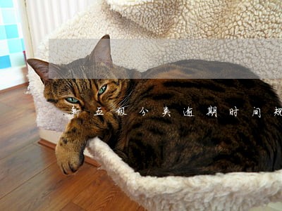 新五级分类逾期时间规定