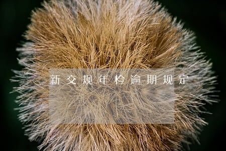新交规年检逾期规定 新交规年检逾期规定