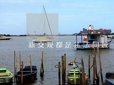 新交规都是违法同城 新交规都是违法同城